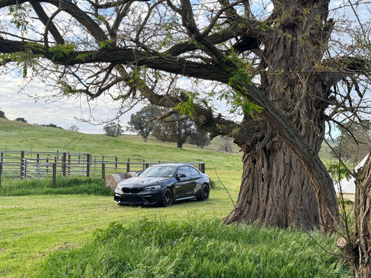 How All In The Detail Can Help Your Track Day – BMW M2 Competition Prep Guide